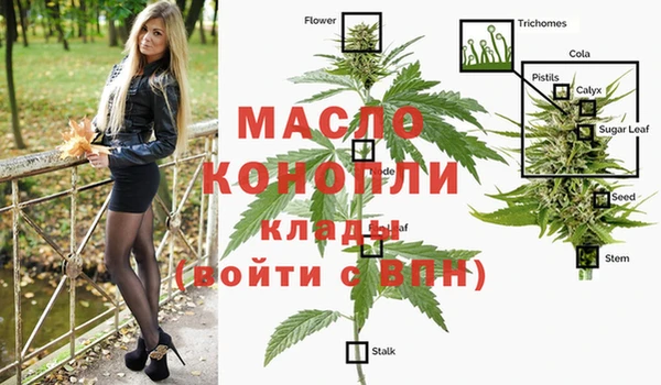 шишки Арсеньев