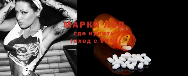 шишки Арсеньев