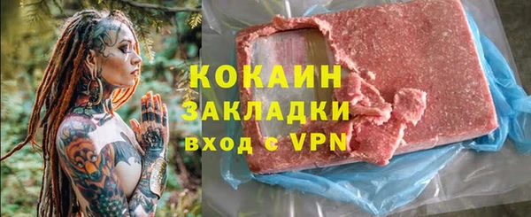 шишки Арсеньев