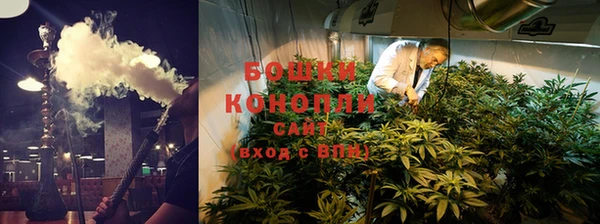шишки Арсеньев