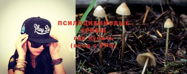 спиды Армянск