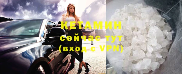 шишки Арсеньев