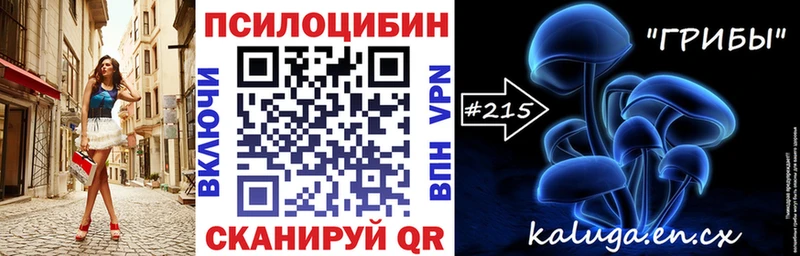 Псилоцибиновые грибы Psilocybe  Балахна 